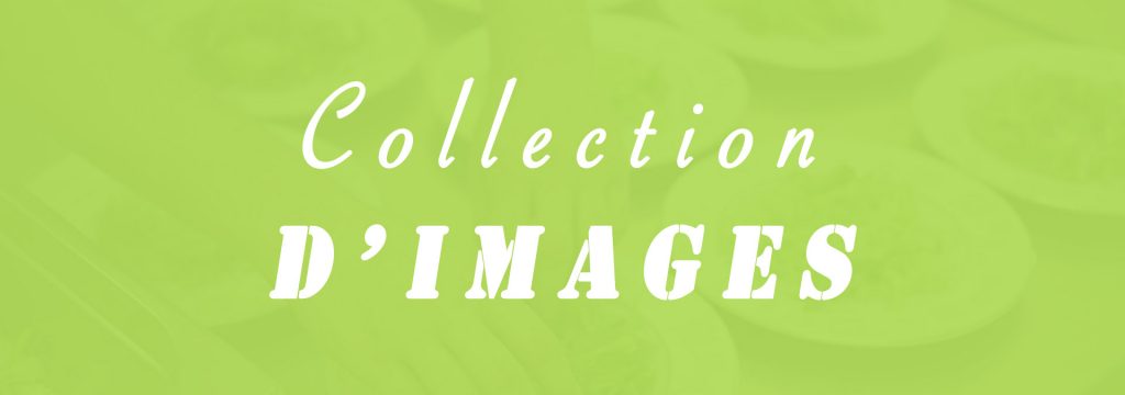 collection_images_1920_bandeau_2